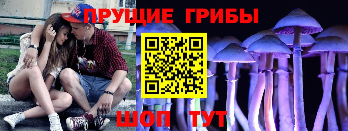 Галлюциногенные грибы мухоморы  Вход с VPN  купить наркотики сайты  Елец  Псилоцибиновые грибы GOLDEN TEACHER 