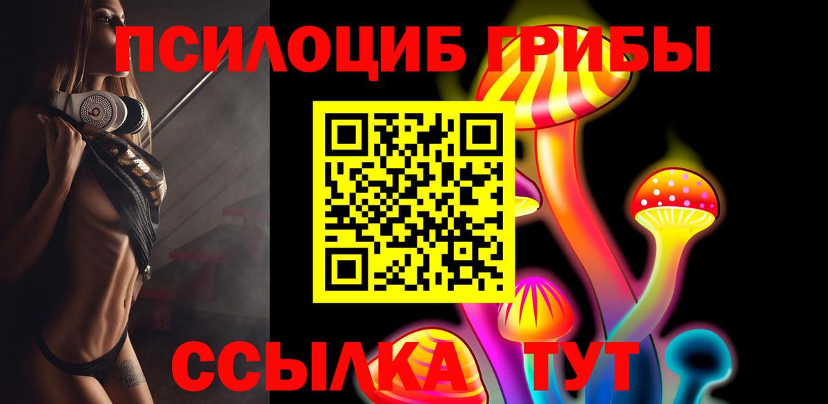 Галлюциногенные грибы Psilocybine cubensis Елец